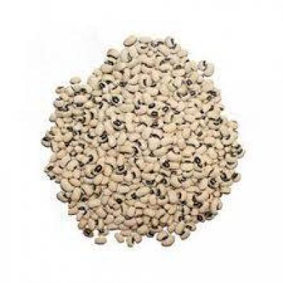 لوبیا چشم بلبلی فله